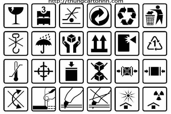 95023832_252472486108475_471693662296735744_n (1)