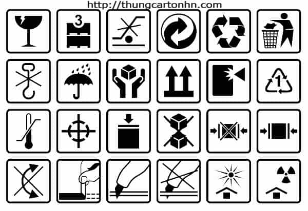95023832_252472486108475_471693662296735744_n (1)