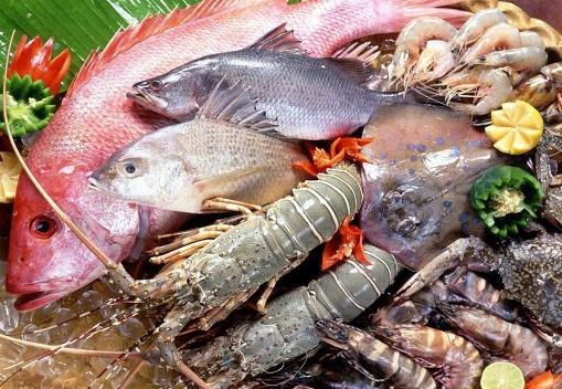 Nguồn thủy hải sản đa dạng và phong phú tại Việt Nam