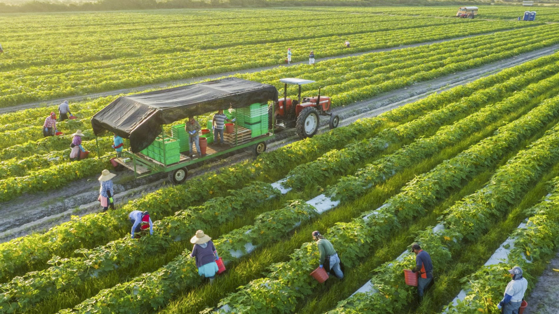 Agro-logistics cần được phát triển mạnh mẽ để phát triển thế mạnh nông nghiệp Việt Nam